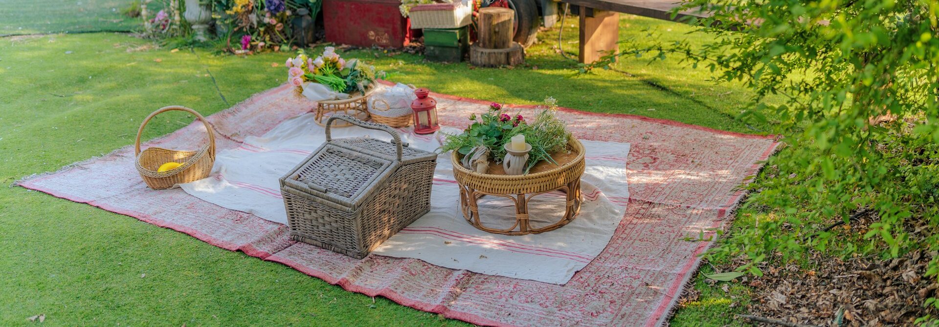 Ann Arbor’s Top Spots for a Scenic Picnic