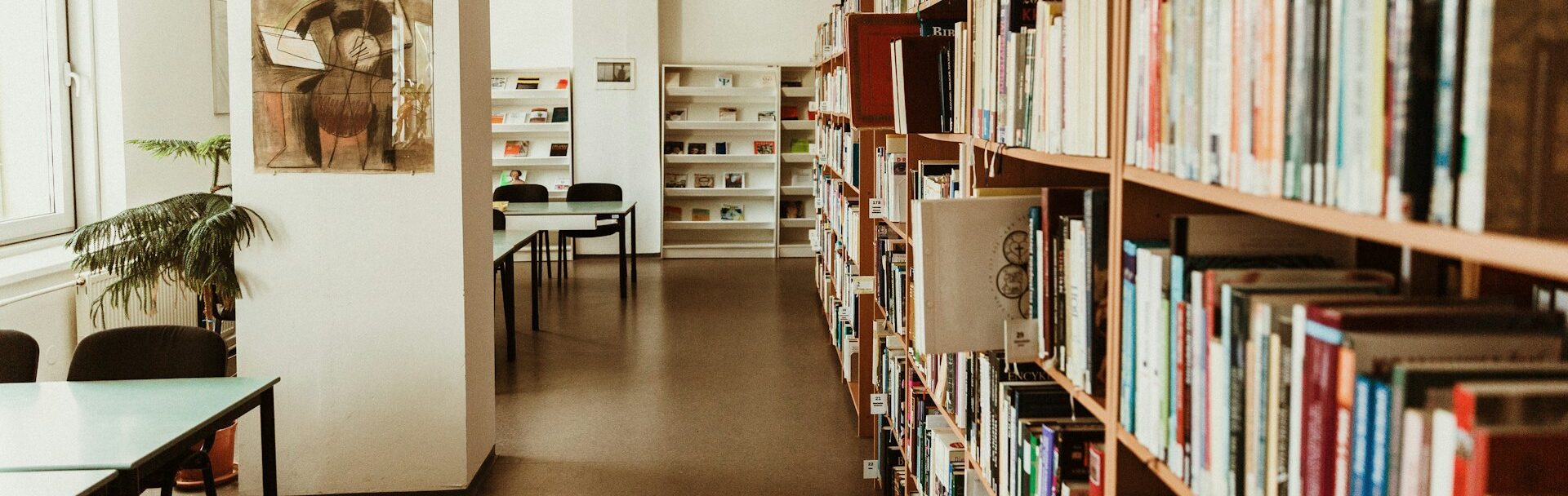 Best Places in Ann Arbor for Quiet Study Breaks