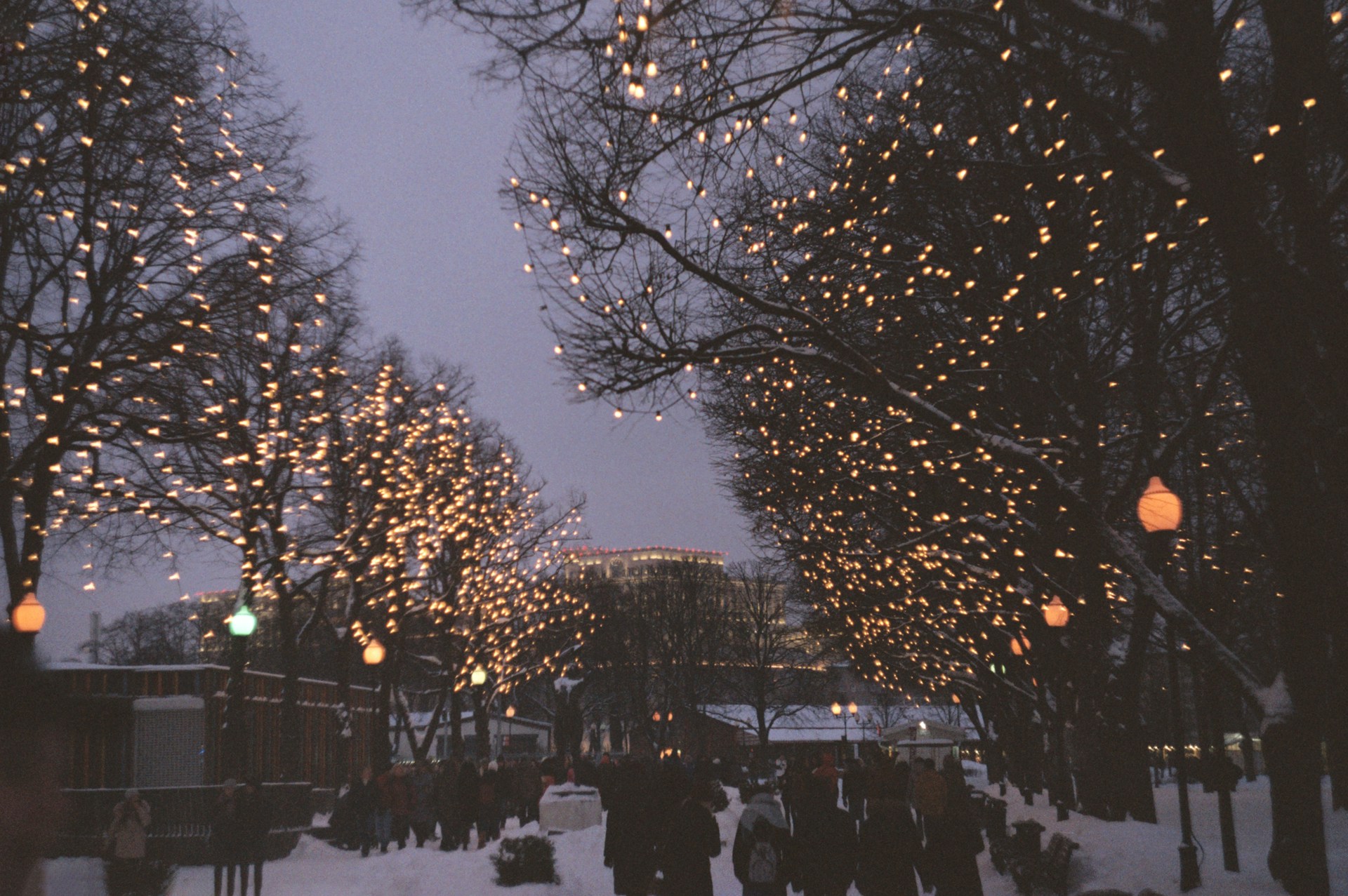 How Ann Arbor Locals Celebrate the Holidays