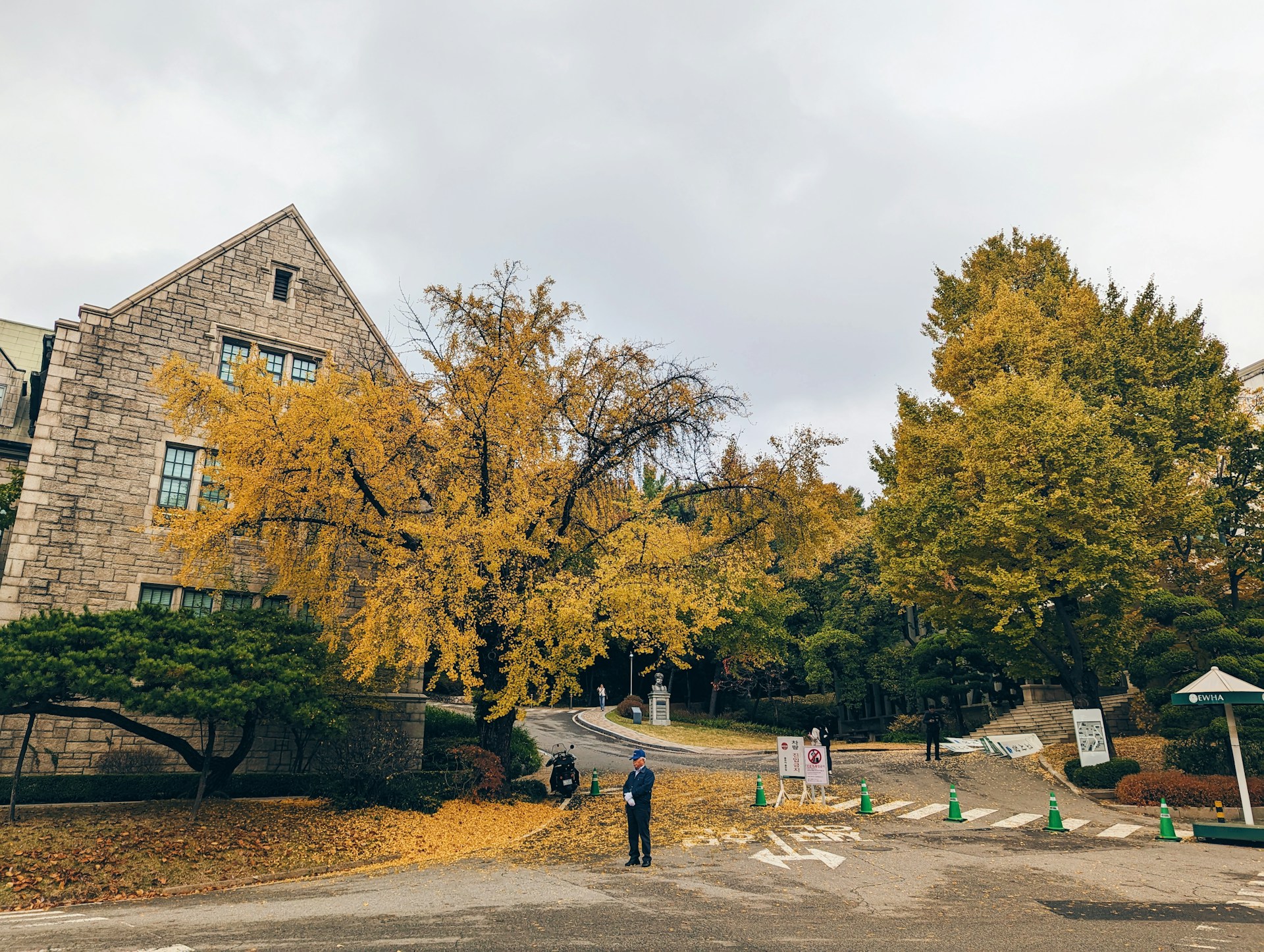 Best Seasonal Events in Ann Arbor