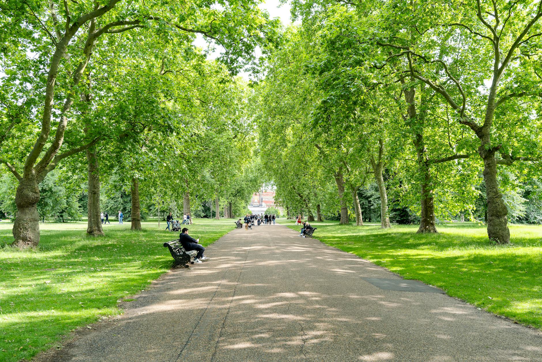 Best Parks in Ann Arbor for a Long Walk or a Quick Escape