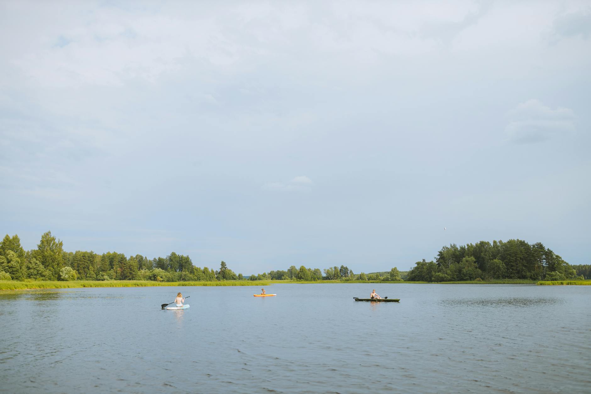Best Places to Kayak and Paddle Near Ann Arbor