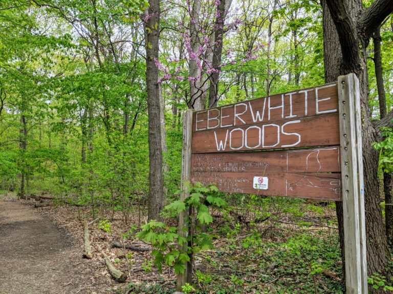 Eberwhite Nature Area