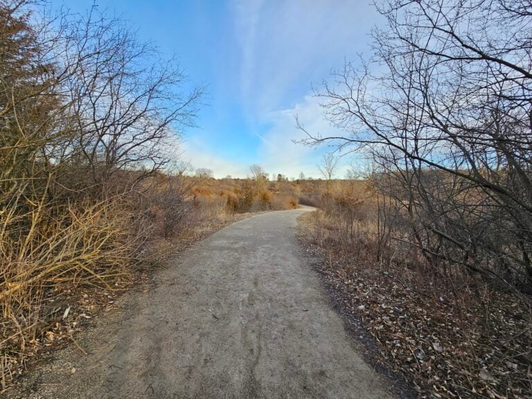 Lloyd and Mabel Johnson Preserve