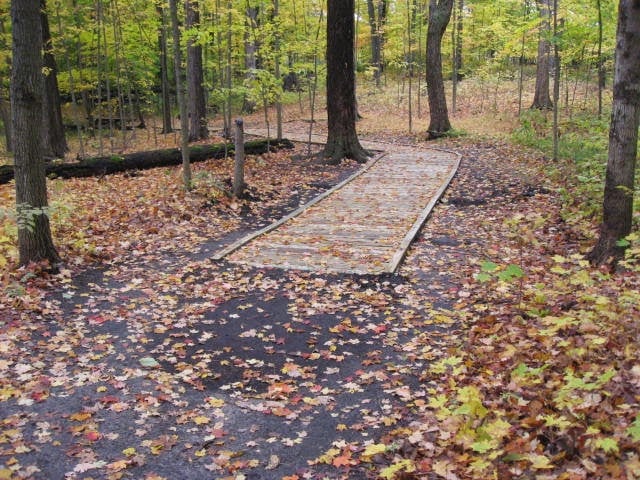 Maybury State Park