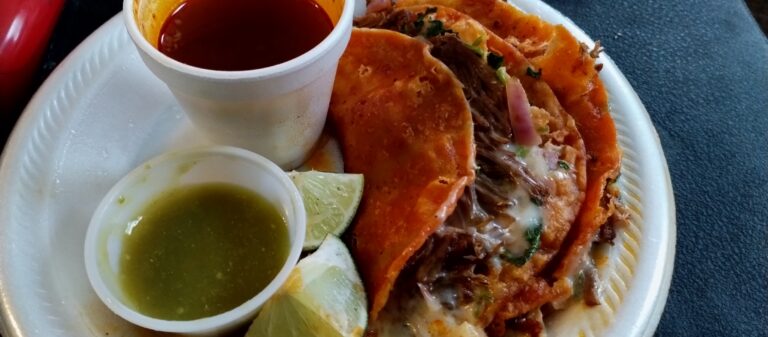 Tacos El Panda, Ann Arbor