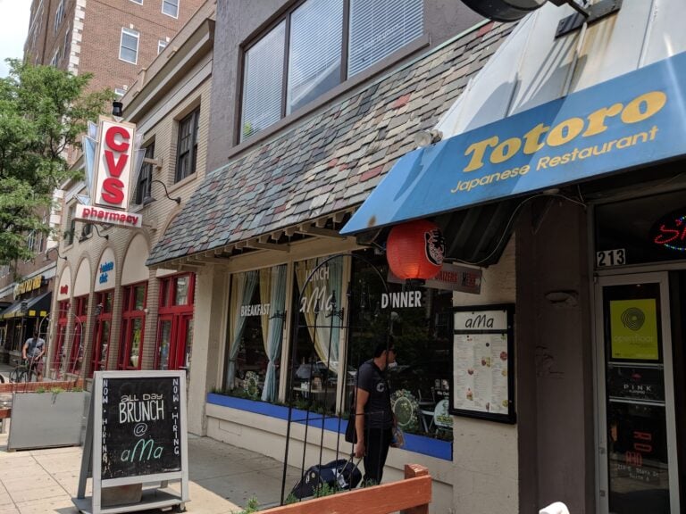 Totoro, Ann Arbor