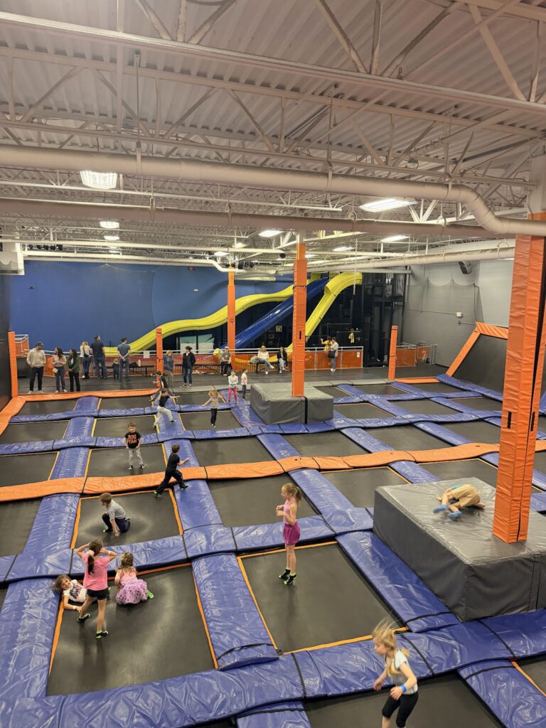 Airborne Adventure Park, Ann Arbor