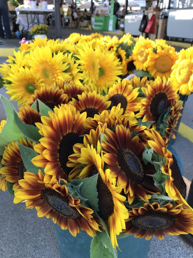 Ann Arbor Farmers Market, Ann Arbor