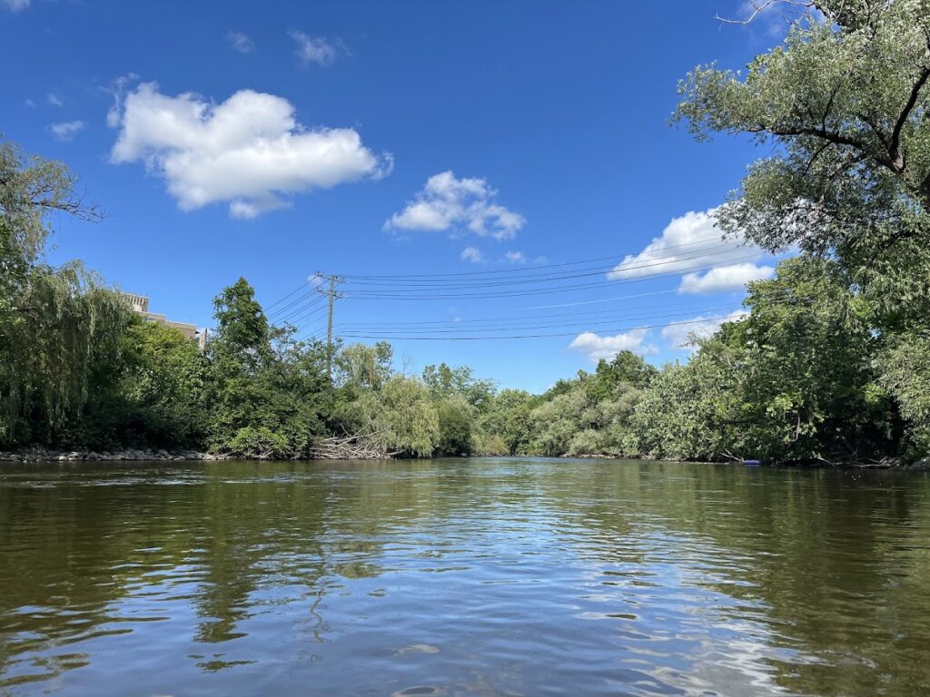 Argo Park Canoe & Kayak, Ann Arbor