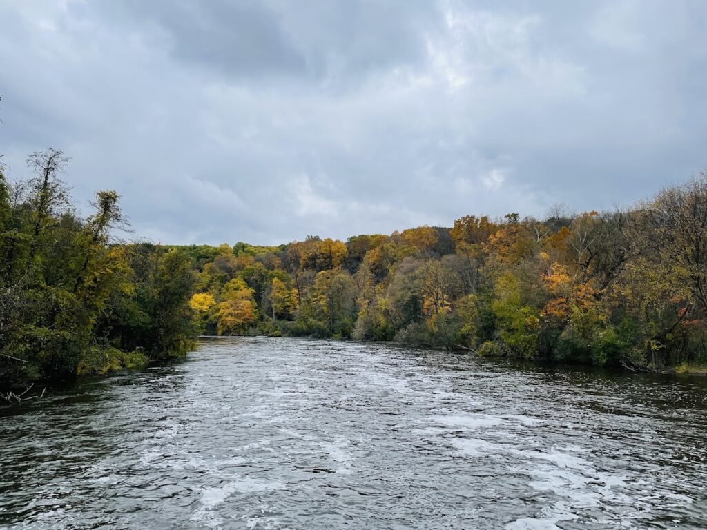 Barton Nature Area, Ann Arbor