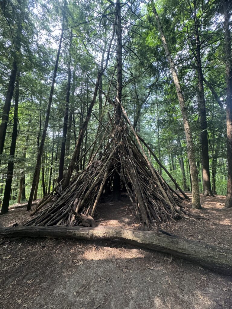 Bird Hills Nature Area, Ann Arbor