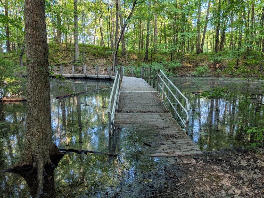 Black Pond Woods Nature Area, Ann Arbor