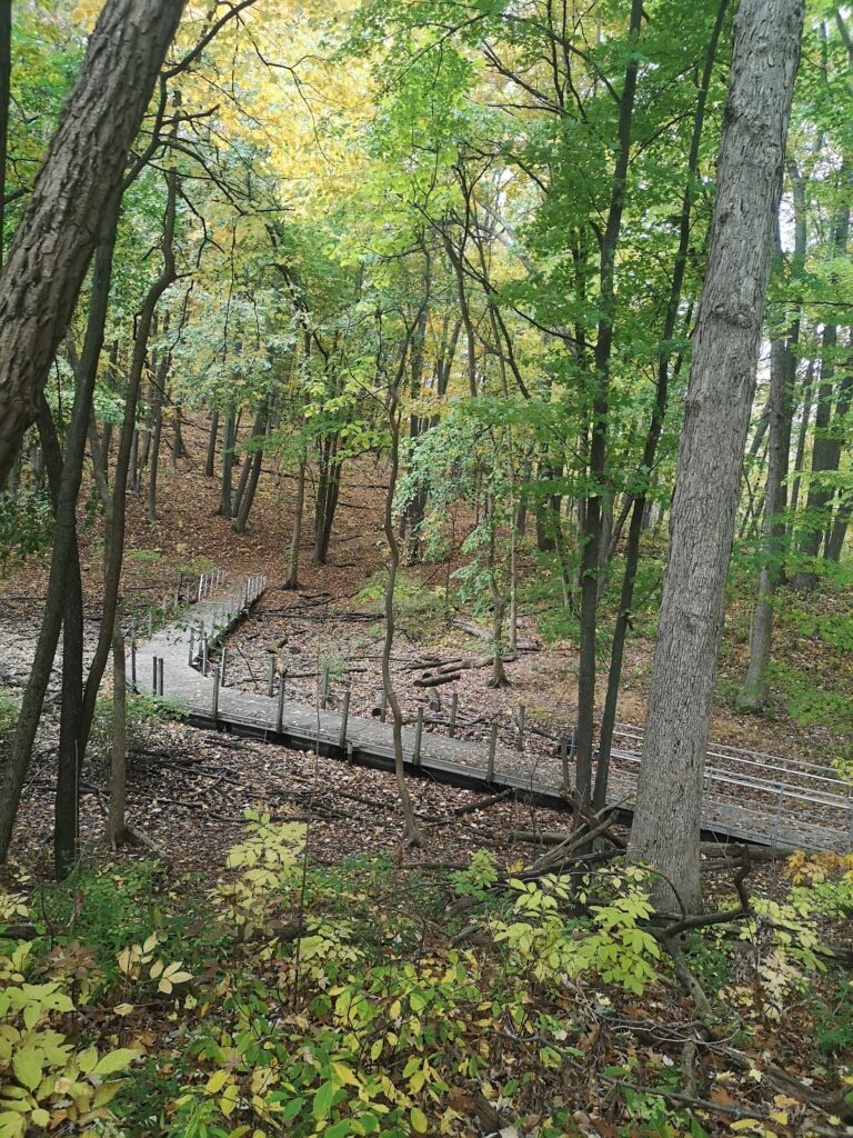 Black Pond Woods Nature Area, Ann Arbor