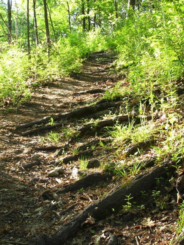 Bluffs Nature Area, Ann Arbor