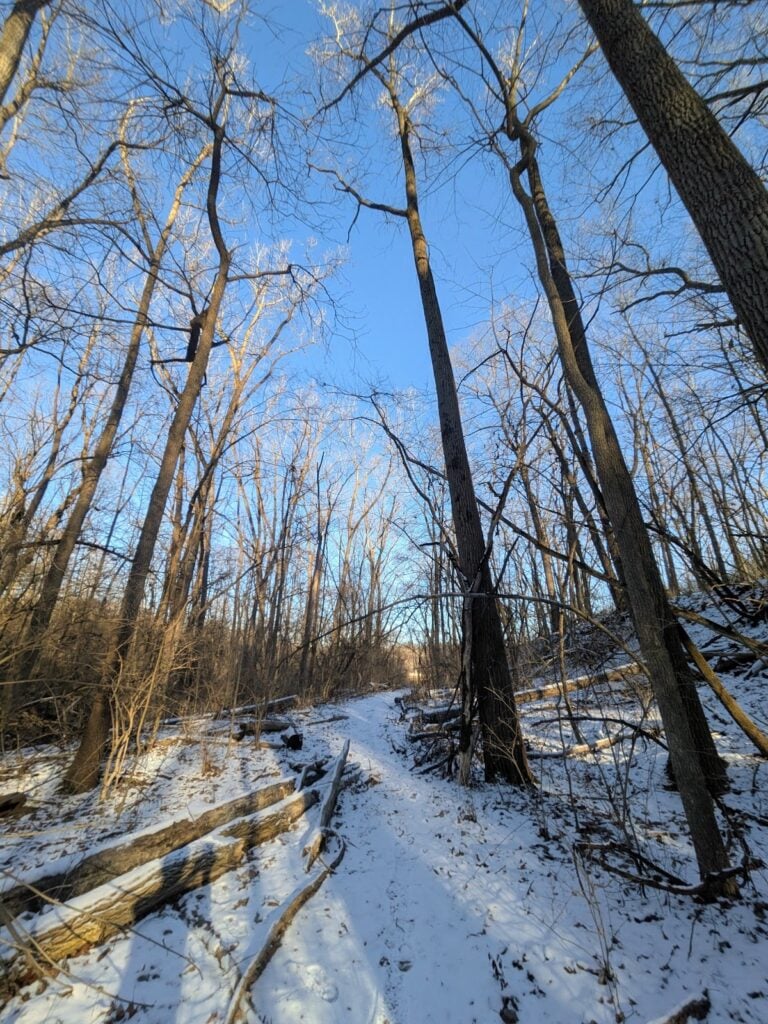 Bluffs Nature Area, Ann Arbor