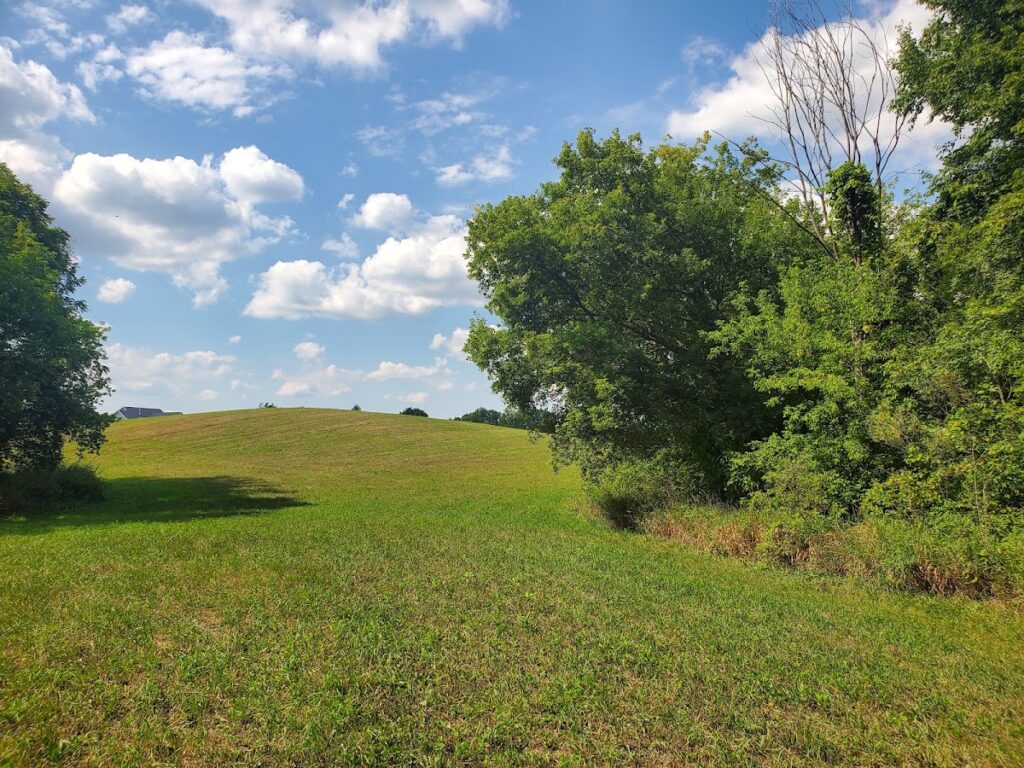 Brauer Preserve, Ann Arbor