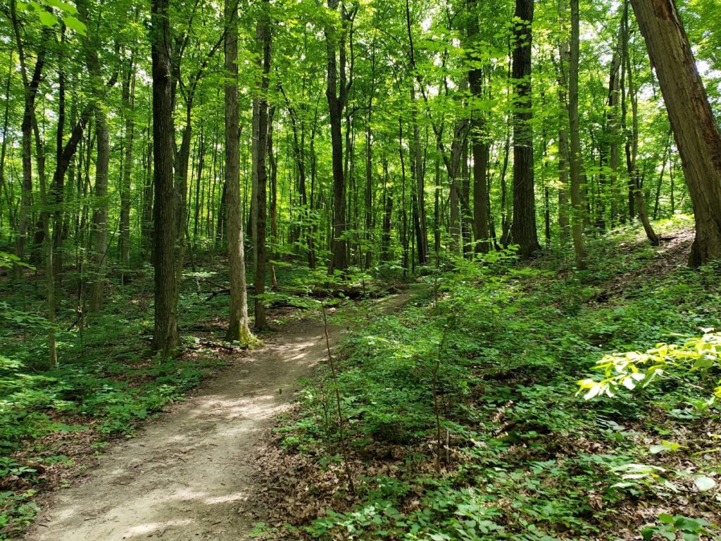 Brighton Recreation Area, Ann Arbor