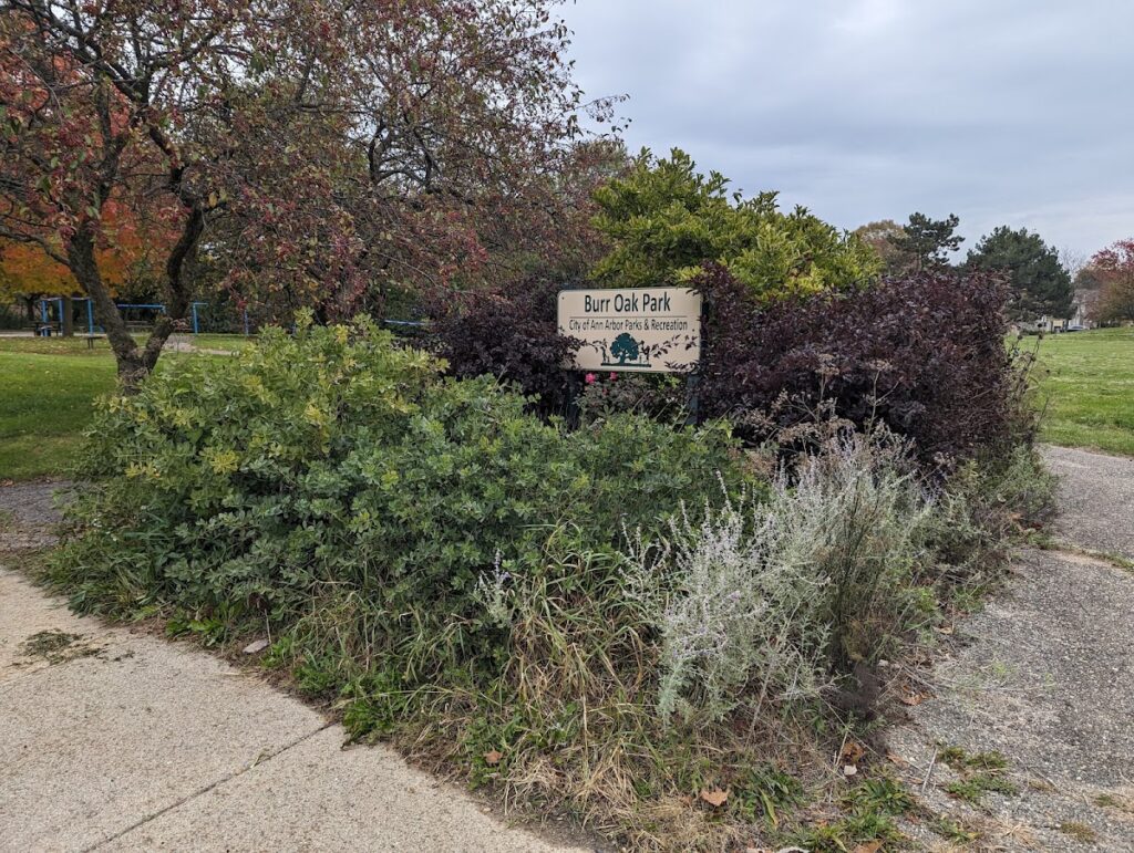 Burr Oak Park, Ann Arbor