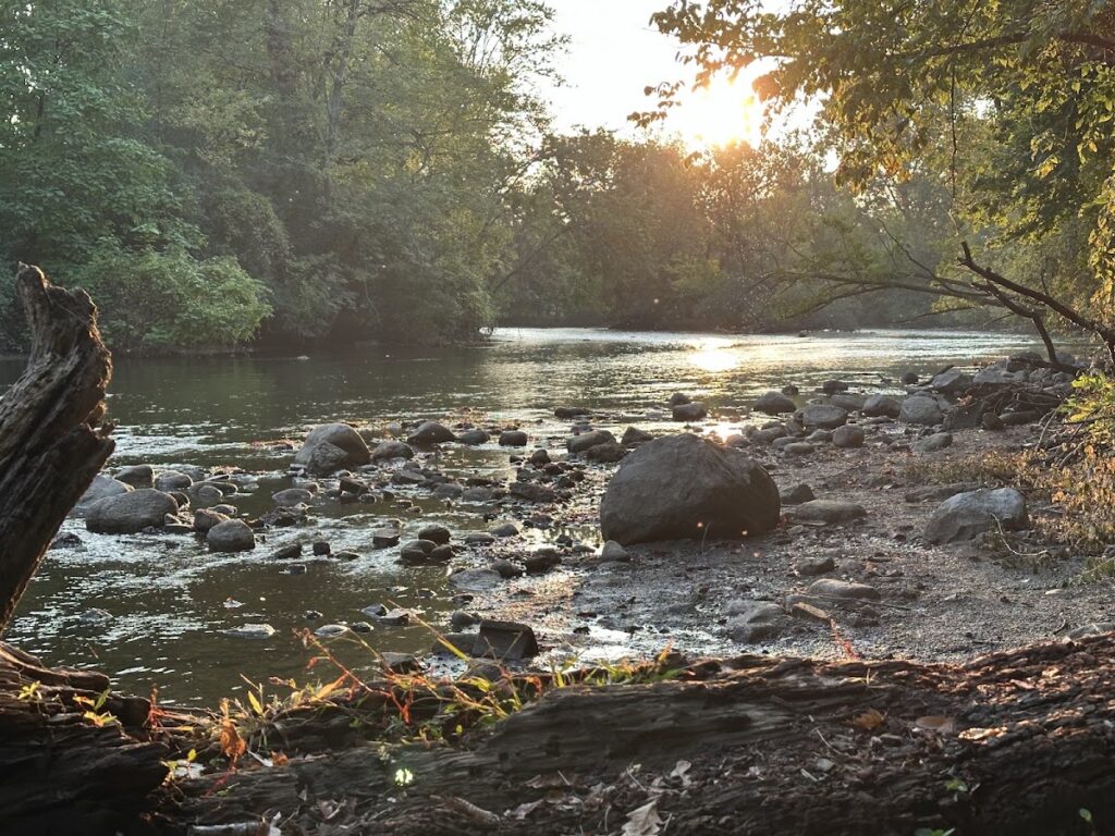 Cedar Bend Nature Area, Ann Arbor