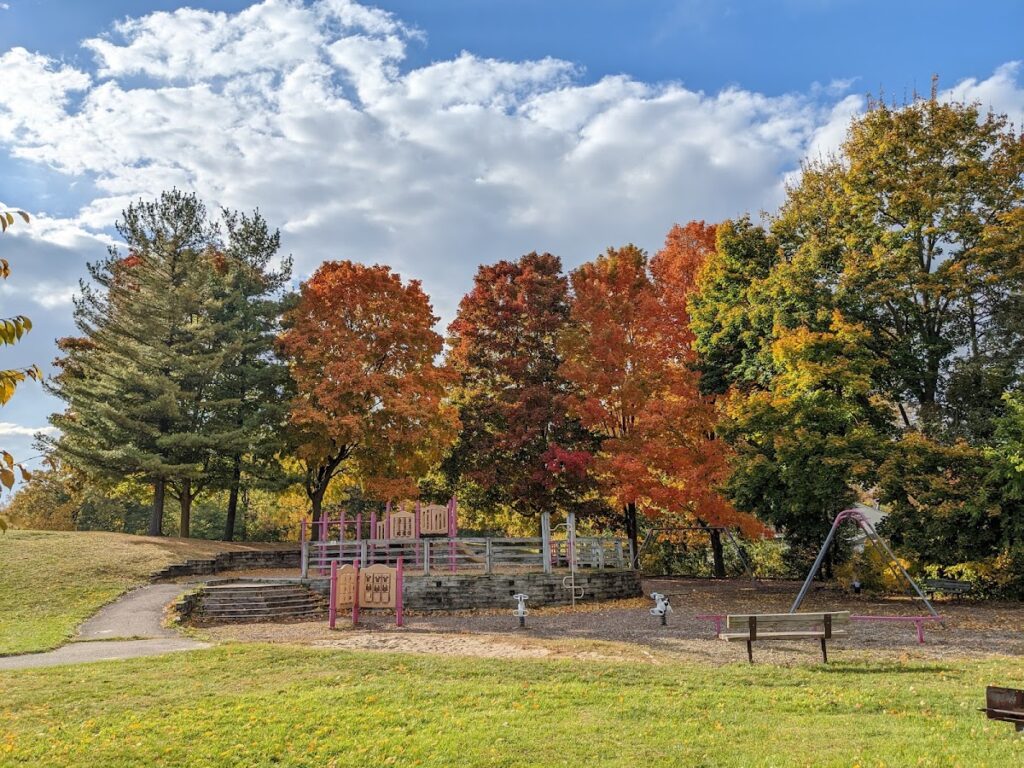 Clinton Park, Ann Arbor
