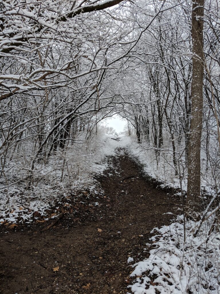 Cloverdale Park, Ann Arbor