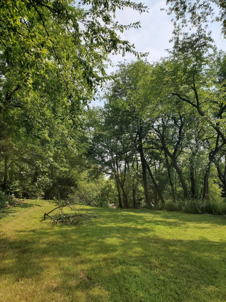 Cloverdale Park, Ann Arbor