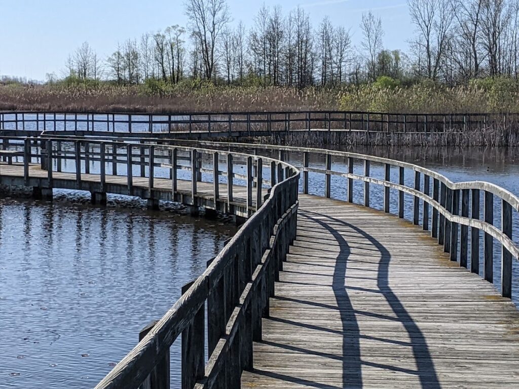 Crosswinds Marsh, Ann Arbor