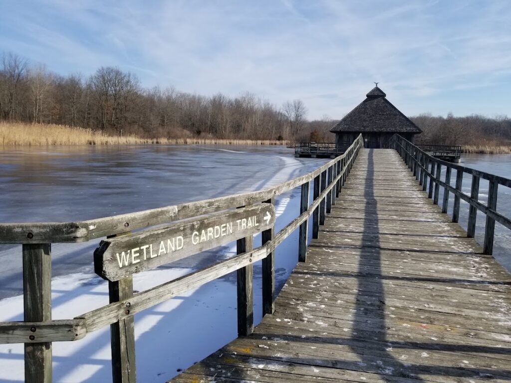 Crosswinds Marsh, Ann Arbor