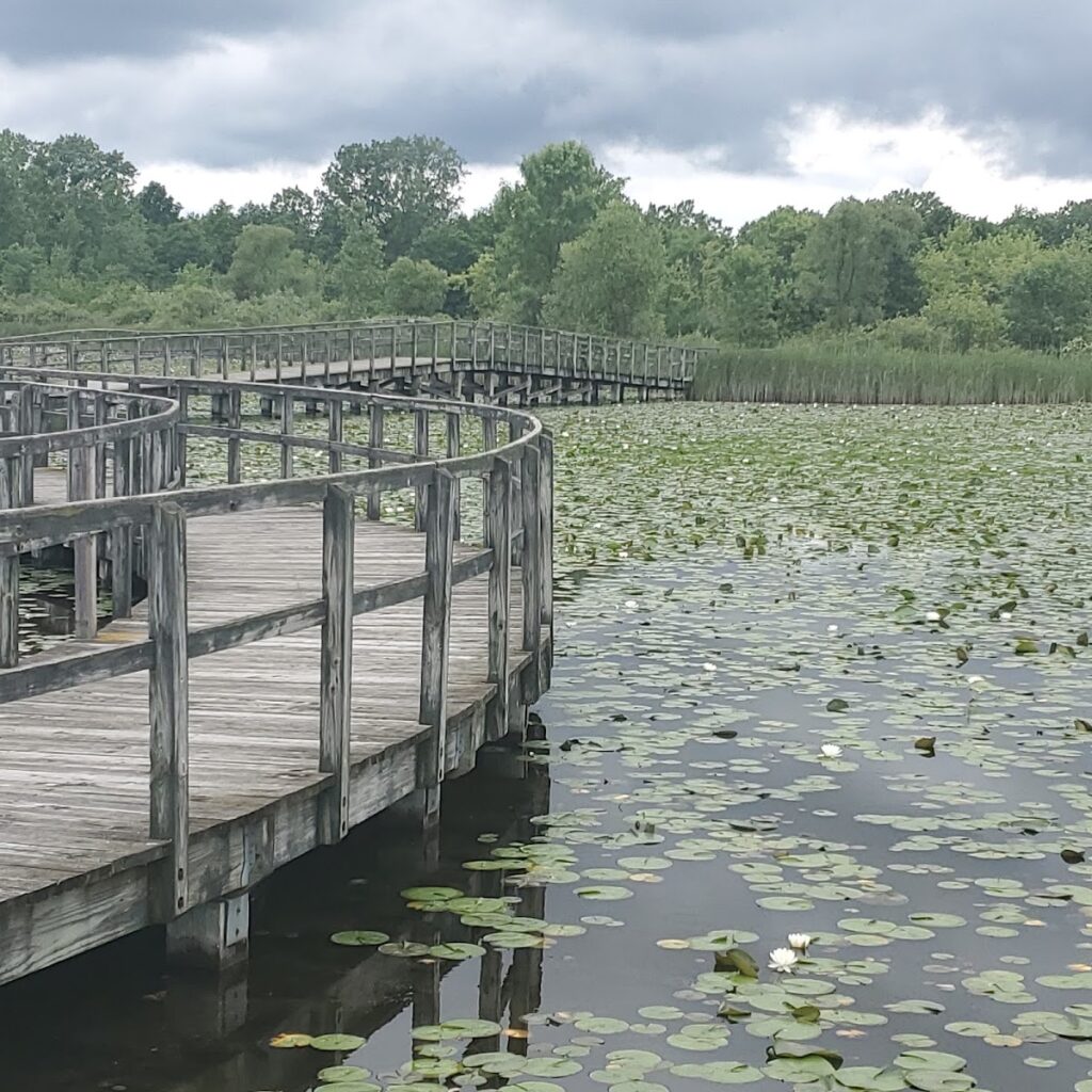 Crosswinds Marsh, Ann Arbor