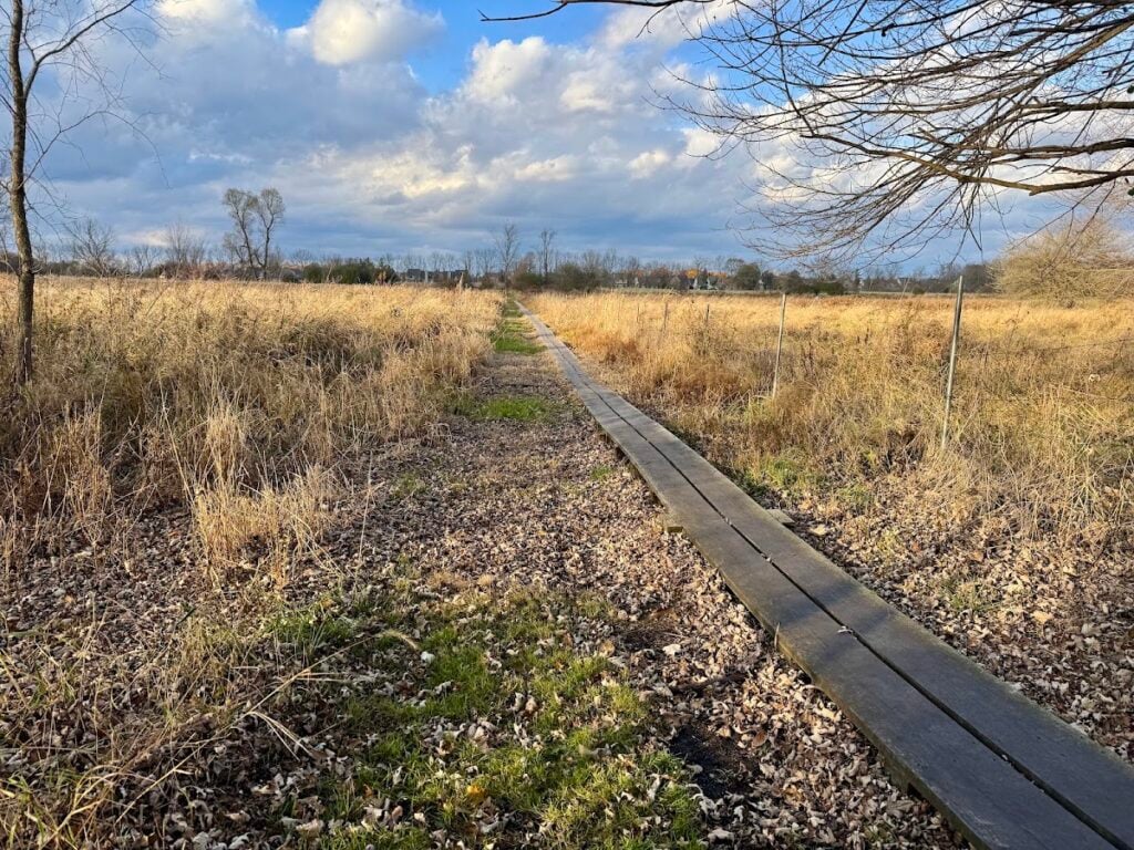 Devine Preserve, Ann Arbor