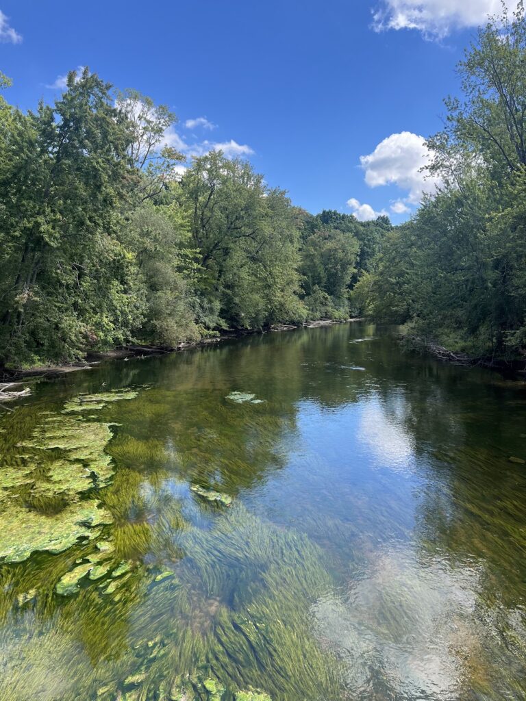 Dexter-Huron Metropark, Ann Arbor