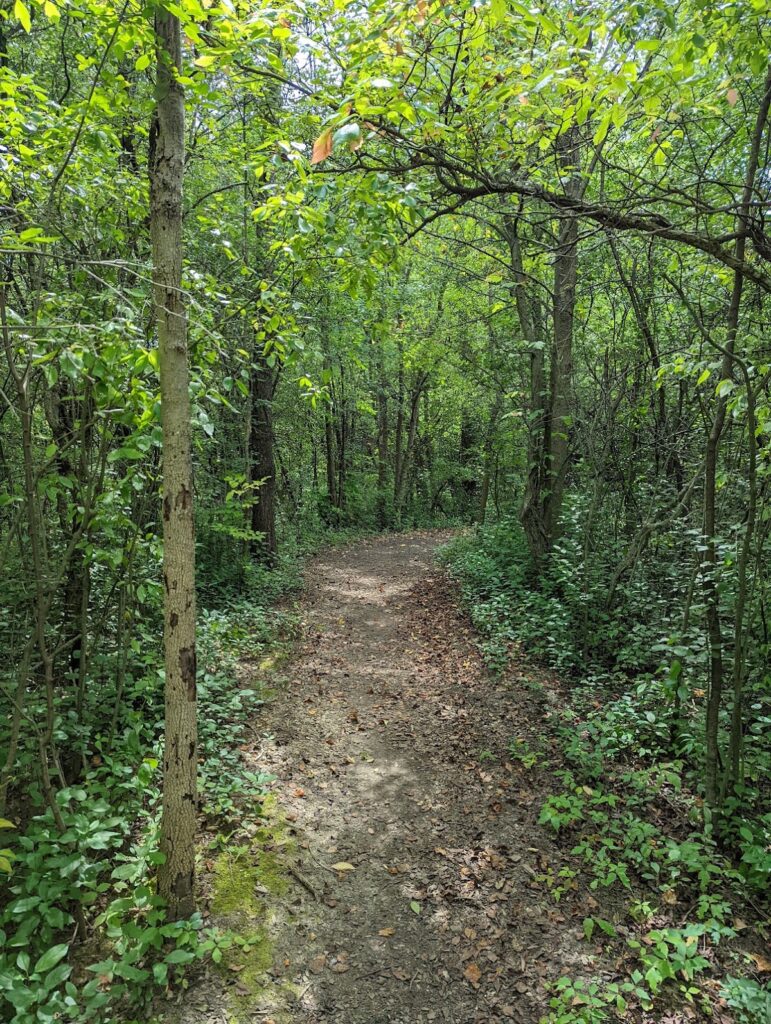Dicken Woods Nature Area, Ann Arbor