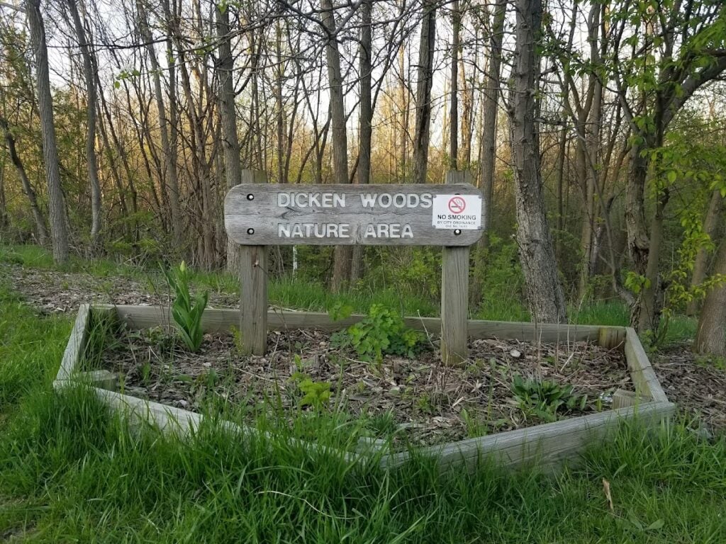 Dicken Woods Nature Area, Ann Arbor