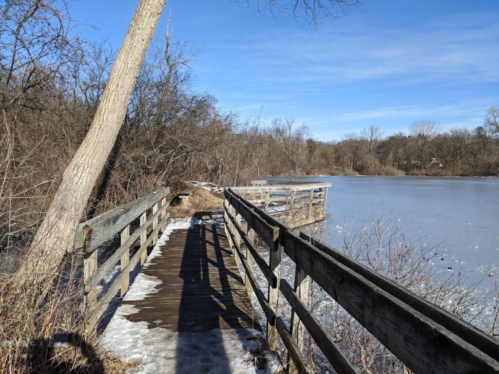 Dolph Nature Area, Ann Arbor