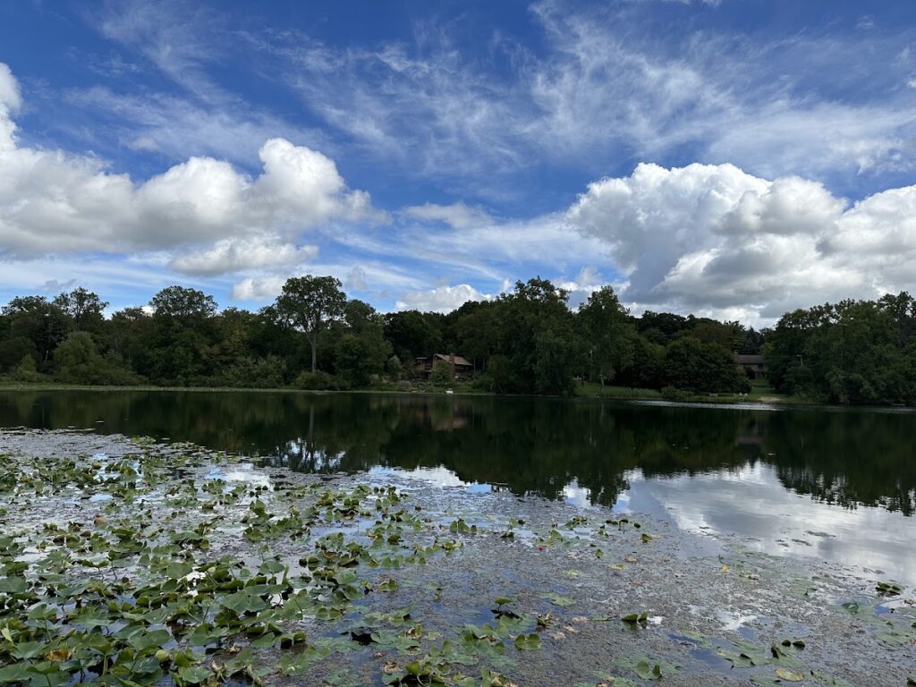 Dolph Nature Area, Ann Arbor