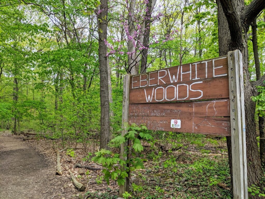 Eberwhite Nature Area, Ann Arbor