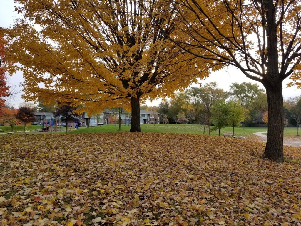 Esch Park, Ann Arbor