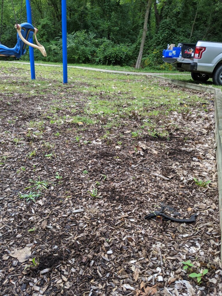 Evergreen Park, Ann Arbor