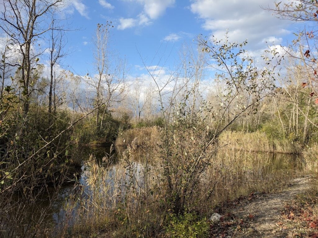 Fox Science Preserve, Ann Arbor