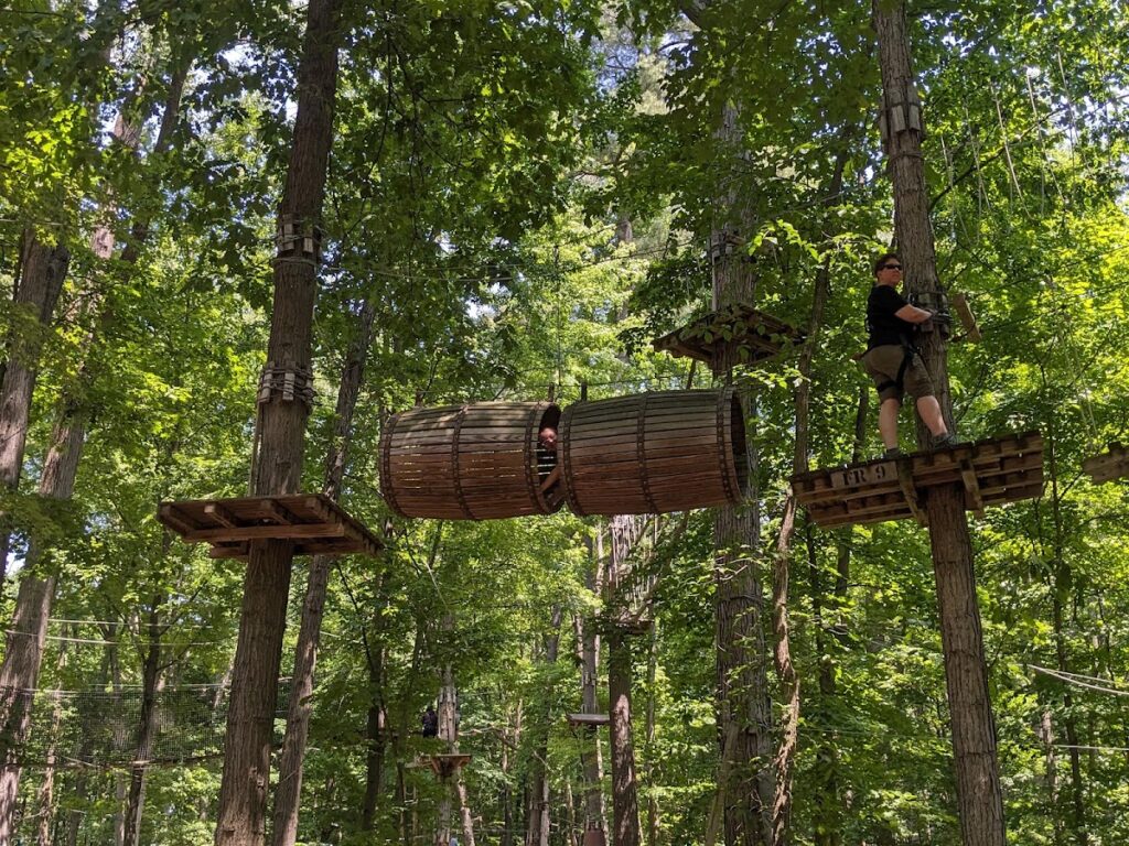 Frankenmuth Aerial Park, Ann Arbor
