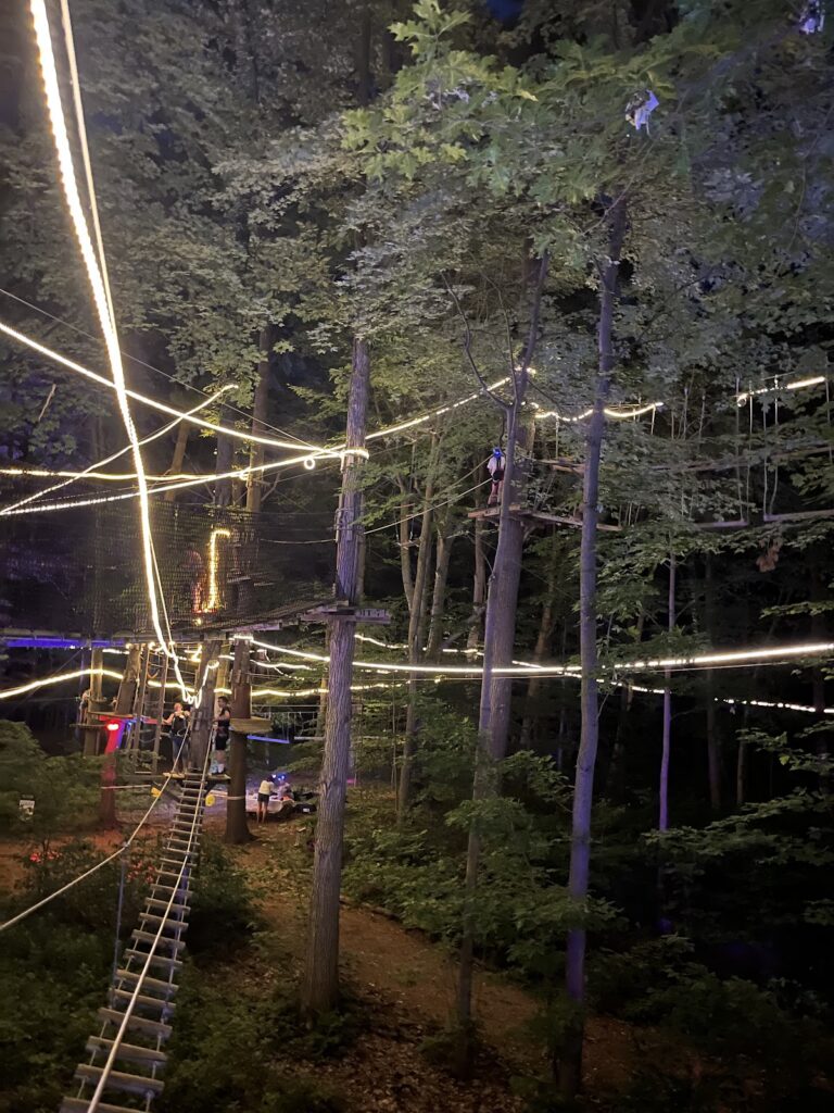 Frankenmuth Aerial Park, Ann Arbor