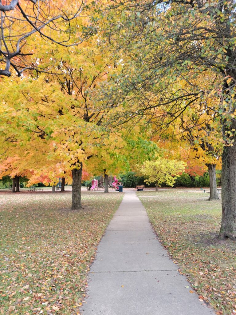 Frisinger Park, Ann Arbor