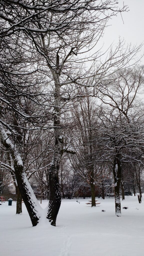 Frisinger Park, Ann Arbor