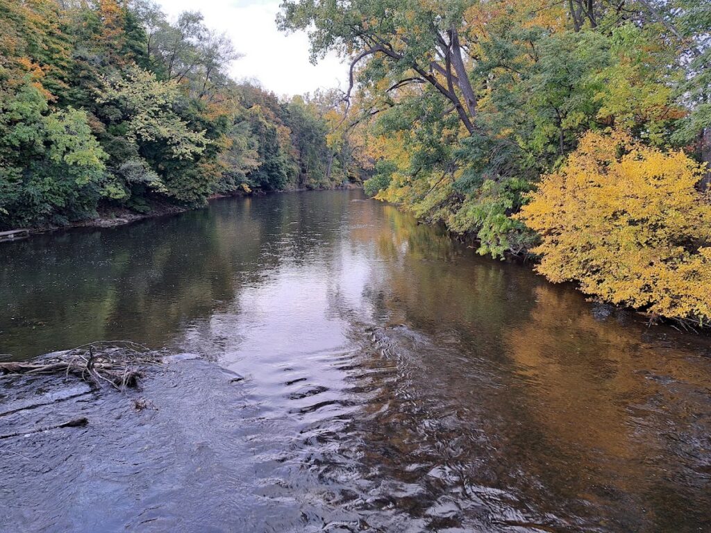 Frog Island Park, Ann Arbor