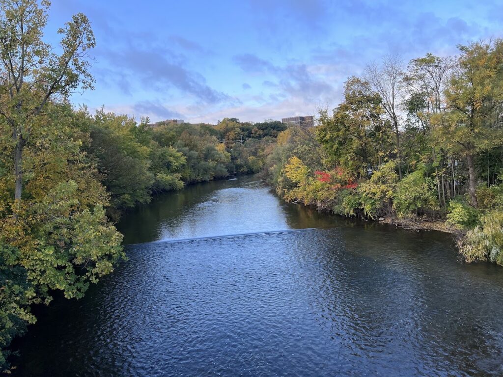 Fuller Park, Ann Arbor