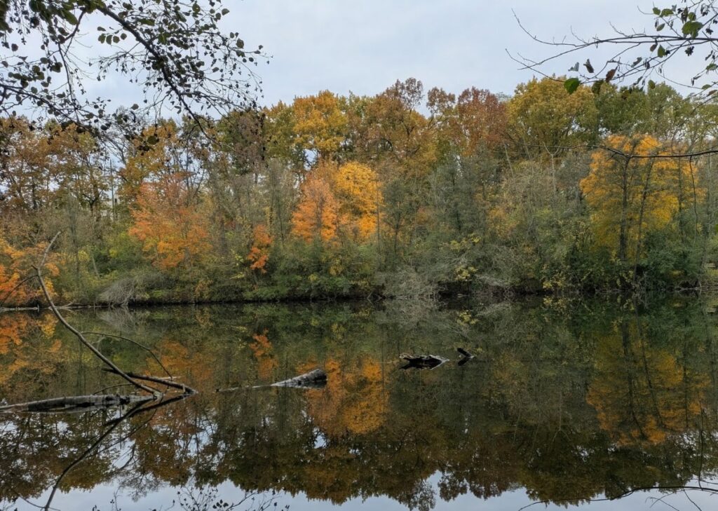 Furstenberg Nature Area, Ann Arbor