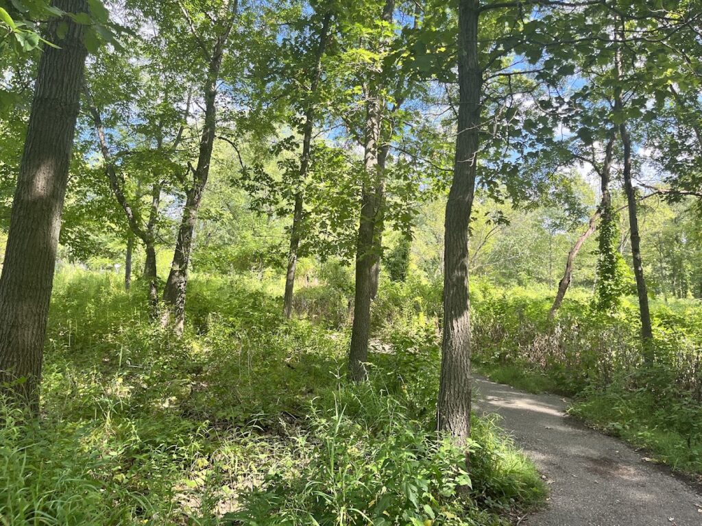 Furstenberg Nature Area, Ann Arbor