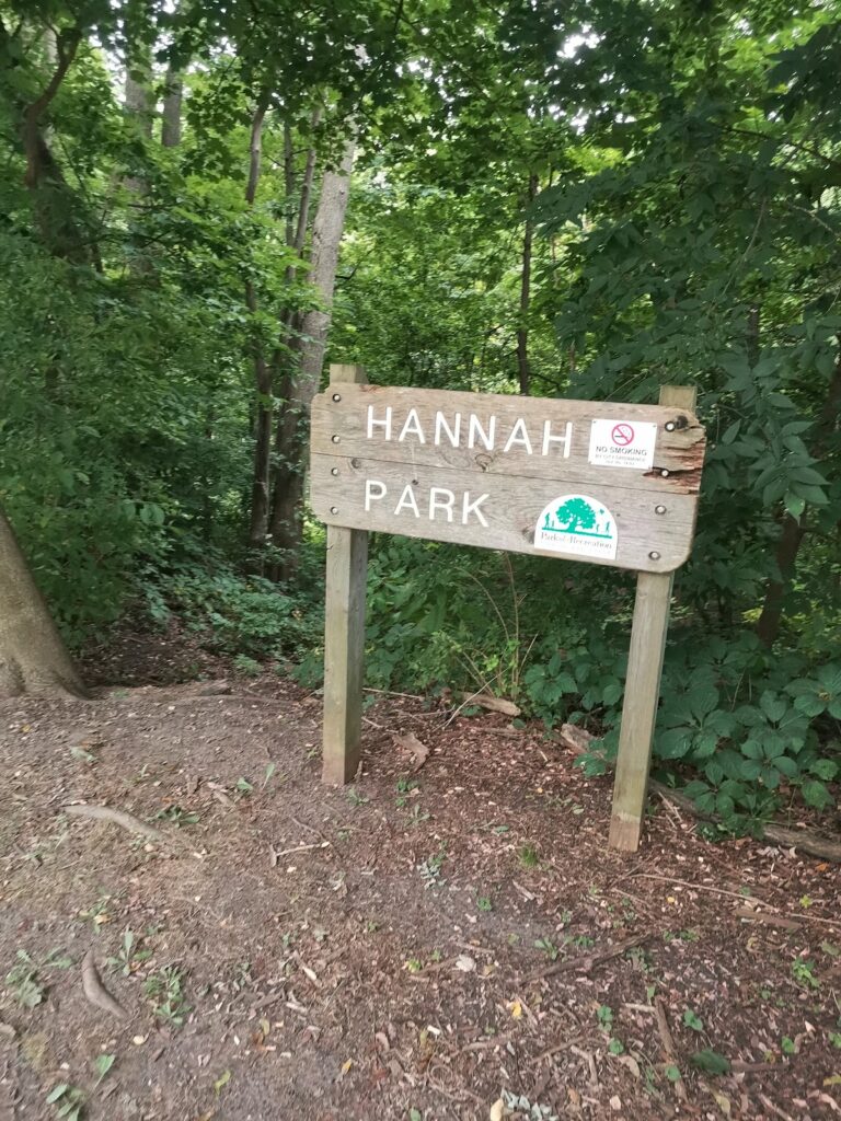 Hannah Nature Area, Ann Arbor