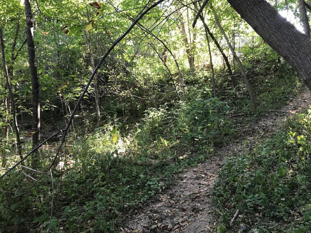 Hannah Nature Area, Ann Arbor